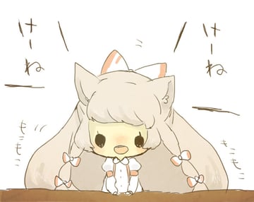 Mokou Kitten (mimaru)
