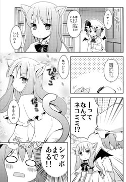 Remilia-sama and Patchy-nyan (rioshi)