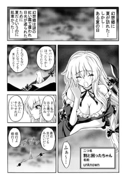 Embodiment of Scarlet Devil for Beginners (katoryu gotoku)