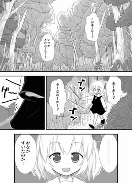 One Day In the Forest I Met Rumia (morioka itari)