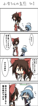 Little Kogasa and Big Sister Reimu (Asyura Kumo)