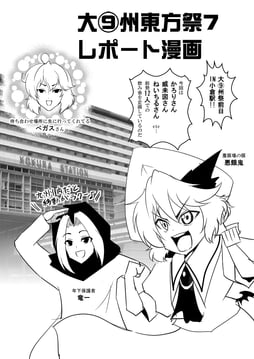 Dai-⑨shuu Festival 7 Report Manga (Warugaki (SK-II))