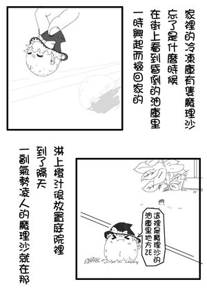 (ゆっくり) [白詰] (虐) 庭院的魔裡沙