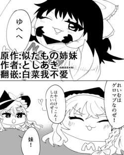 [ゆっくり] 相似的姐妹