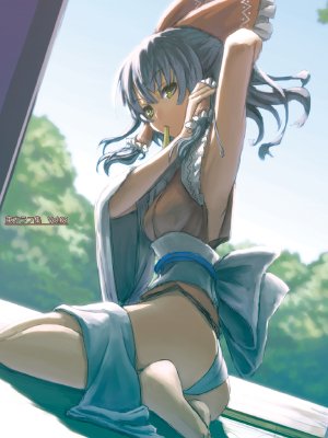 [Amagaeru (Kuronuko Neero)] Touhou Rough Shuu Vol. 03