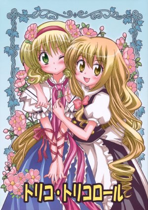 (C78) [Inu to Geboku no Kai (Ninomiya Ruri)] Toriko Toriko Roll