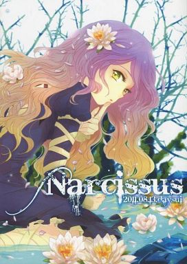 Narcissus