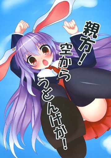 親方!空からうどんげが!