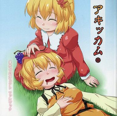 アキッカム