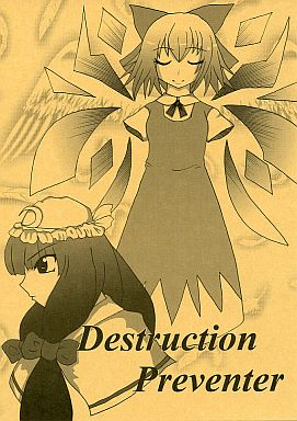 Destruction Preventer