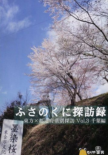 東方x静岡探訪録2013