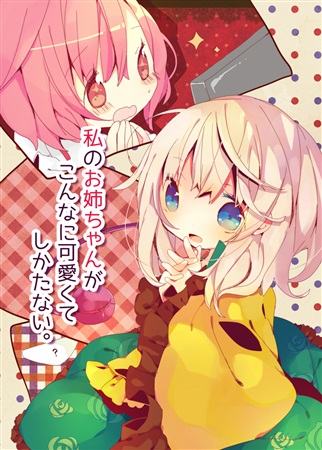 私のお姉ちゃんがこんなに可愛くてしかたない。