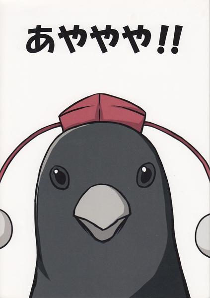 Ayayaya!!